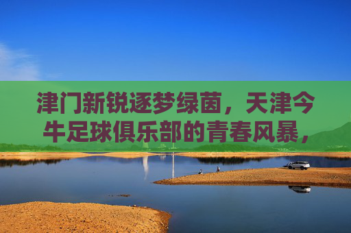 津门新锐逐梦绿茵，天津今牛足球俱乐部的青春风暴，津门新锐逐梦绿茵，天津今牛青春风暴