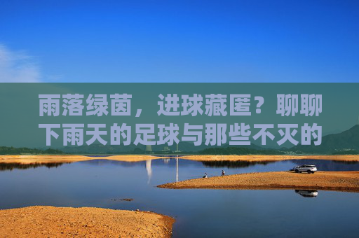 雨落绿茵,进球藏匿?聊聊下雨天的足球与那些不灭的进球瞬间,雨落绿茵,进球不灭
