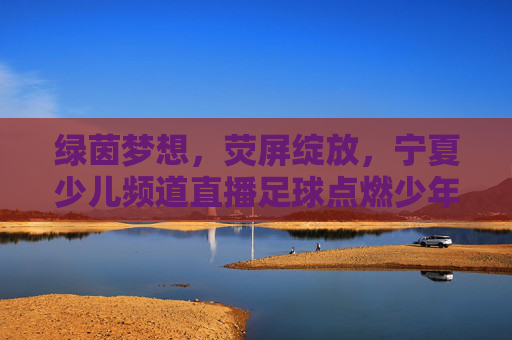 绿茵梦想，荧屏绽放，宁夏少儿频道直播足球点燃少年热情，宁夏少儿频道直播足球，荧屏绽放绿茵梦，点燃少年热情