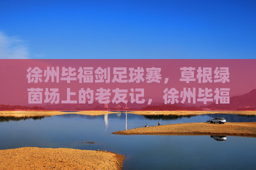 徐州毕福剑足球赛,草根绿茵场上的老友记,徐州毕福剑足球赛,草根绿茵场的老友记