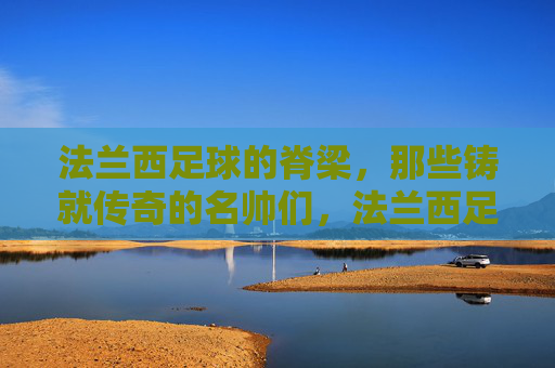 法兰西足球的脊梁，那些铸就传奇的名帅们，法兰西足球的脊梁，铸就传奇的名帅