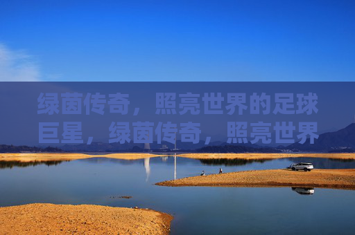 绿茵传奇，照亮世界的足球巨星，绿茵传奇，照亮世界的足球巨星