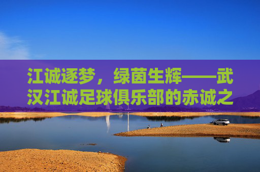江诚逐梦,绿茵生辉——武汉江诚足球俱乐部的赤诚之路,江诚逐梦,绿茵赤诚