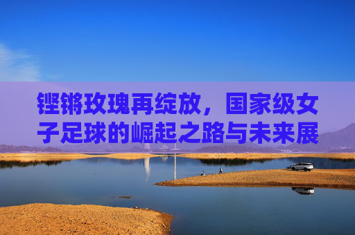 铿锵玫瑰再绽放,国家级女子足球的崛起之路与未来展望