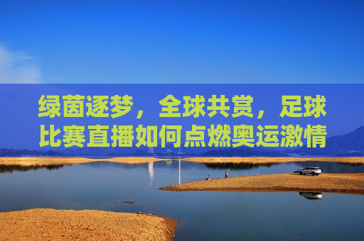 绿茵逐梦，全球共赏，足球比赛直播如何点燃奥运激情，绿茵直播全球共燃，点燃奥运激情
