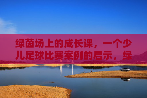 绿茵场上的成长课,一个少儿足球比赛案例的启示,绿茵场成长课,少儿足球比赛案例启示