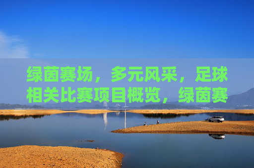 绿茵赛场,多元风采,足球相关比赛项目概览,绿茵赛场,多元足球比赛项目概览