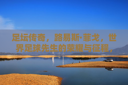 足坛传奇，路易斯·菲戈，世界足球先生的荣耀与征程，菲戈，足坛传奇的世界足球先生荣耀征程