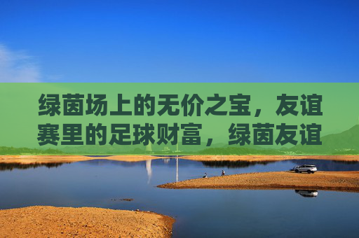 绿茵场上的无价之宝，友谊赛里的足球财富，绿茵友谊赛，足球的无价财富