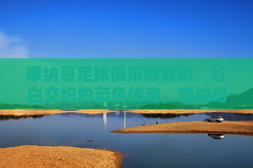 摩纳哥足球俱乐部会徽，红白交织的蓝色传奇，摩纳哥足球俱乐部会徽，红白交织的蓝色传奇