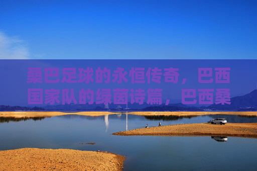桑巴足球的永恒传奇，巴西国家队的绿茵诗篇，巴西桑巴足球，永恒的绿茵诗篇