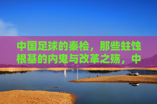 中国足球的秦桧,那些蛀蚀根基的内鬼与改革之殇,中国足球秦桧,内鬼蛀蚀根基与改革之殇