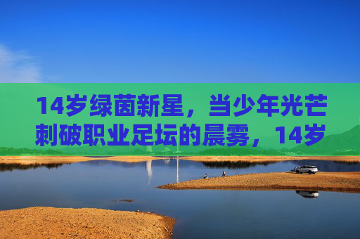 14岁绿茵新星，当少年光芒刺破职业足坛的晨雾，14岁新星光芒刺破职业足坛晨雾