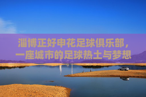 淄博正好申花足球俱乐部,一座城市的足球热土与梦想传承,淄博申花,一座城市的足球热土与梦想传承