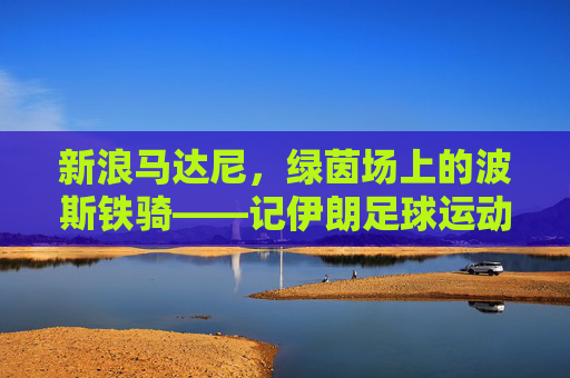 新浪马达尼，绿茵场上的波斯铁骑——记伊朗足球运动员马达尼的逐梦之路，绿茵场上的波斯铁骑，马达尼逐梦记