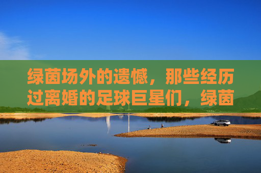 绿茵场外的遗憾，那些经历过离婚的足球巨星们，绿茵场外的遗憾，离婚足球巨星