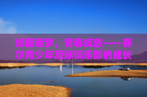 绿茵逐梦,青春绽放——赛尔青少年足球俱乐部的成长之路,绿茵逐梦,青春绽放——赛尔青少年足球俱乐部成长之路