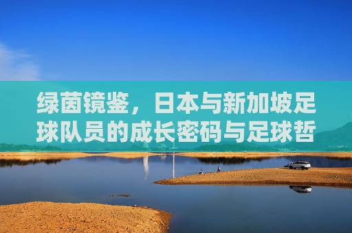 绿茵镜鉴，日本与新加坡足球队员的成长密码与足球哲学，绿茵镜鉴，日本与新加坡足球队员的成长密码与足球哲学