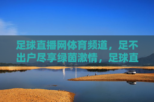 足球直播网体育频道，足不出户尽享绿茵激情，足球直播网体育频道，足不出户尽享绿茵激情