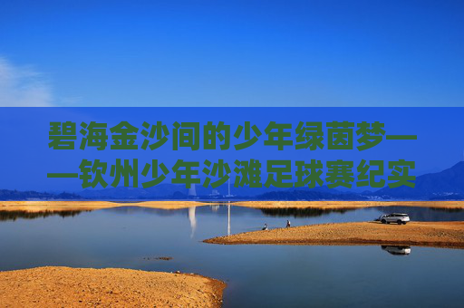 碧海金沙间的少年绿茵梦——钦州少年沙滩足球赛纪实,碧海金沙少年绿茵梦,钦州沙滩足球赛纪实