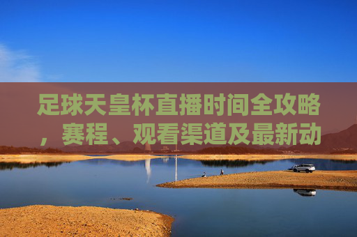 足球天皇杯直播时间全攻略，赛程、观看渠道及最新动态，足球天皇杯直播时间全攻略，赛程、观看渠道及最新动态