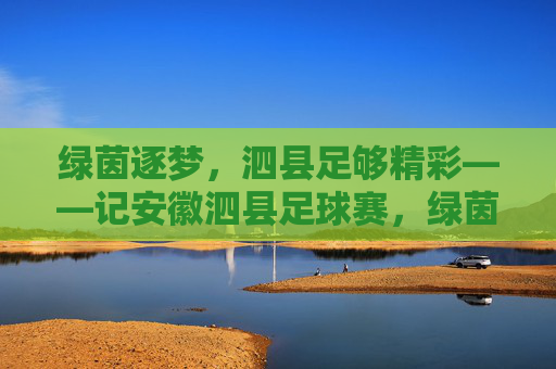 绿茵逐梦，泗县足够精彩——记安徽泗县足球赛，绿茵逐梦，泗县精彩