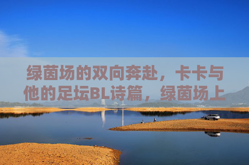 绿茵场的双向奔赴，卡卡与他的足坛BL诗篇，绿茵场上的双向奔赴，卡卡的足坛BL诗篇