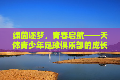 绿茵逐梦，青春启航——天体青少年足球俱乐部的成长之路，绿茵逐梦，青春启航，天体青少年足球俱乐部成长记