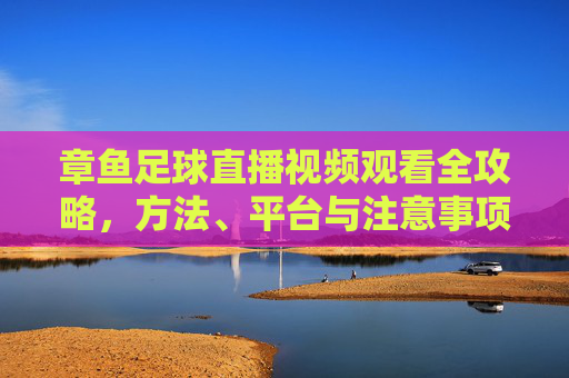 章鱼足球直播视频观看全攻略，方法、平台与注意事项，章鱼足球直播视频观看全攻略，方法、平台与注意事项