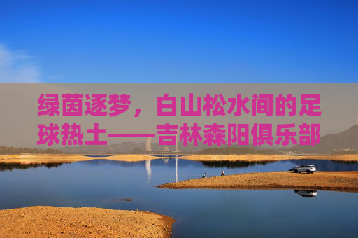 绿茵逐梦，白山松水间的足球热土——吉林森阳俱乐部足球发展纪实，白山松水绿茵梦，吉林森阳俱乐部足球发展纪实