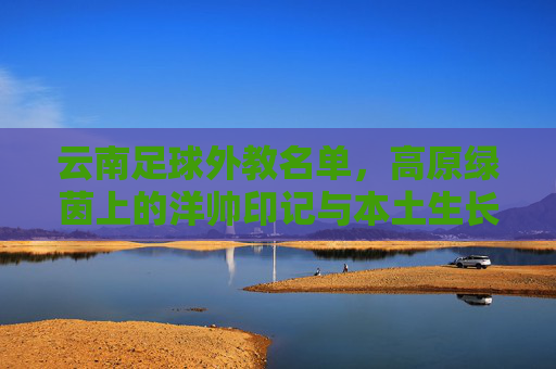 云南足球外教名单,高原绿茵上的洋帅印记与本土生长,云南足球外教,高原洋帅印记与本土生长