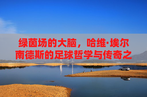 绿茵场的大脑，哈维·埃尔南德斯的足球哲学与传奇之路，绿茵场的大脑，哈维的足球哲学与传奇之路