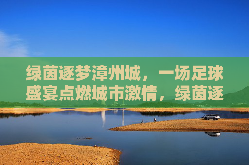 绿茵逐梦漳州城,一场足球盛宴点燃城市激情,绿茵逐梦,盛宴燃漳