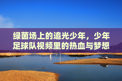 绿茵场上的追光少年，少年足球队视频里的热血与梦想，绿茵追光，少年足球队的热血与梦想