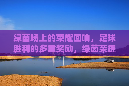 绿茵场上的荣耀回响，足球胜利的多重奖励，绿茵荣耀回响，足球胜利的多重奖励