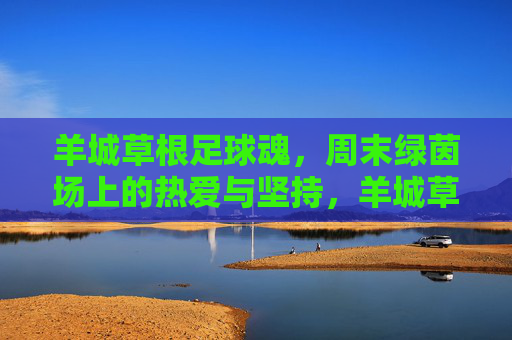 羊城草根足球魂,周末绿茵场上的热爱与坚持,羊城草根绿茵魂,周末热爱与坚持