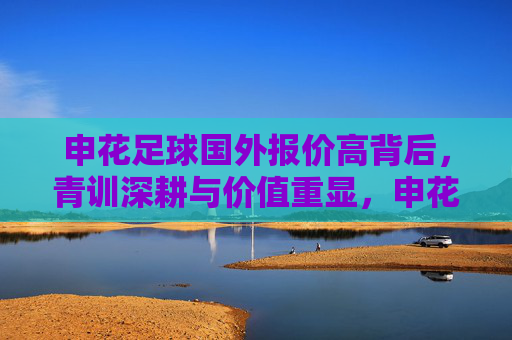 申花足球国外报价高背后,青训深耕与价值重显,申花足球国外报价高背后,青训深耕与价值重显