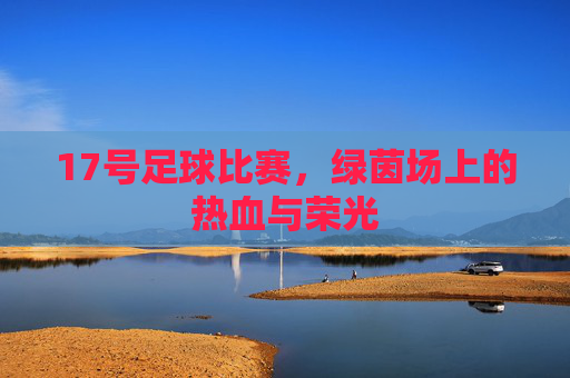 17号足球比赛,绿茵场上的热血与荣光