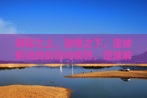 屏幕之上,激情之下,足球解说的战场与视界,足球解说,屏幕上的战场与视界