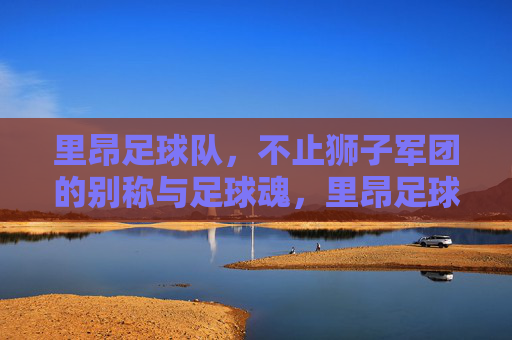 里昂足球队,不止狮子军团的别称与足球魂,里昂足球队,不止狮子军团的足球魂