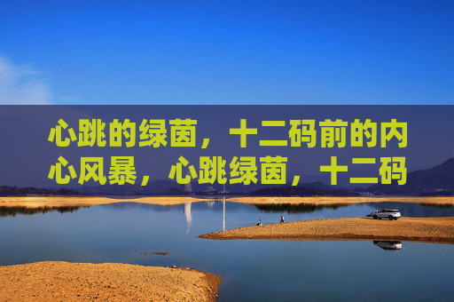 心跳的绿茵，十二码前的内心风暴，心跳绿茵，十二码内心风暴