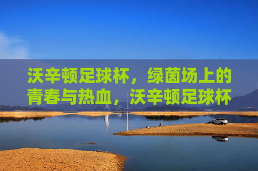 沃辛顿足球杯，绿茵场上的青春与热血，沃辛顿足球杯，青春热血燃绿茵