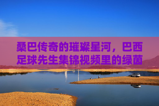 桑巴传奇的璀璨星河，巴西足球先生集锦视频里的绿茵诗篇，巴西足球先生，桑巴传奇的璀璨绿茵诗篇