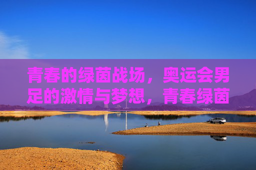 青春的绿茵战场，奥运会男足的激情与梦想，青春绿茵场，奥运男足的激情与梦想