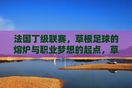 法国丁级联赛,草根足球的熔炉与职业梦想的起点,草根熔炉,梦想起点,法国丁级联赛