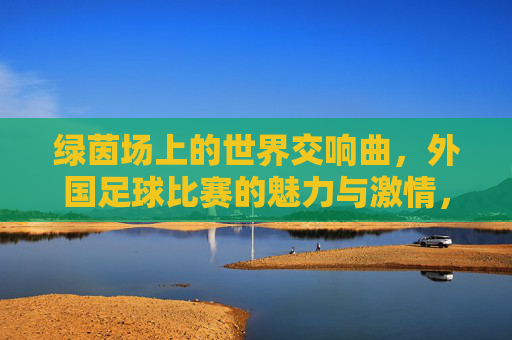 绿茵场上的世界交响曲,外国足球比赛的魅力与激情,绿茵场上的世界交响曲,外国足球的魅力与激情