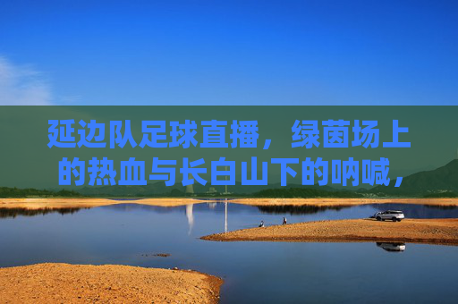 延边队足球直播,绿茵场上的热血与长白山下的呐喊,延边队直播,绿茵热血,长白山呐喊