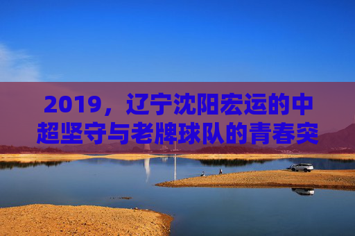 2019，辽宁沈阳宏运的中超坚守与老牌球队的青春突围，2019辽宁沈阳宏运，老牌球队的中超坚守与青春突围