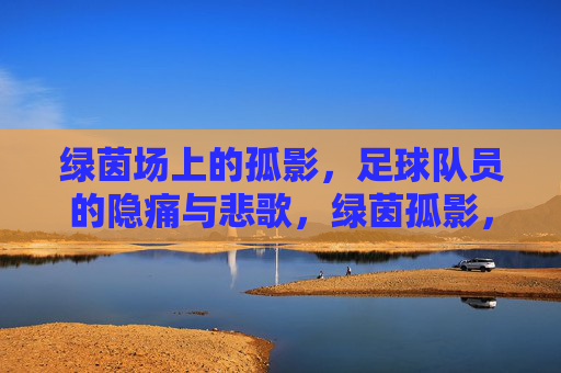 绿茵场上的孤影,足球队员的隐痛与悲歌,绿茵孤影,足坛隐痛与悲歌