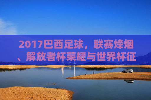 2017巴西足球，联赛烽烟、解放者杯荣耀与世界杯征途，2017巴西足球，联赛烽烟、解放者杯荣耀与世界杯征途